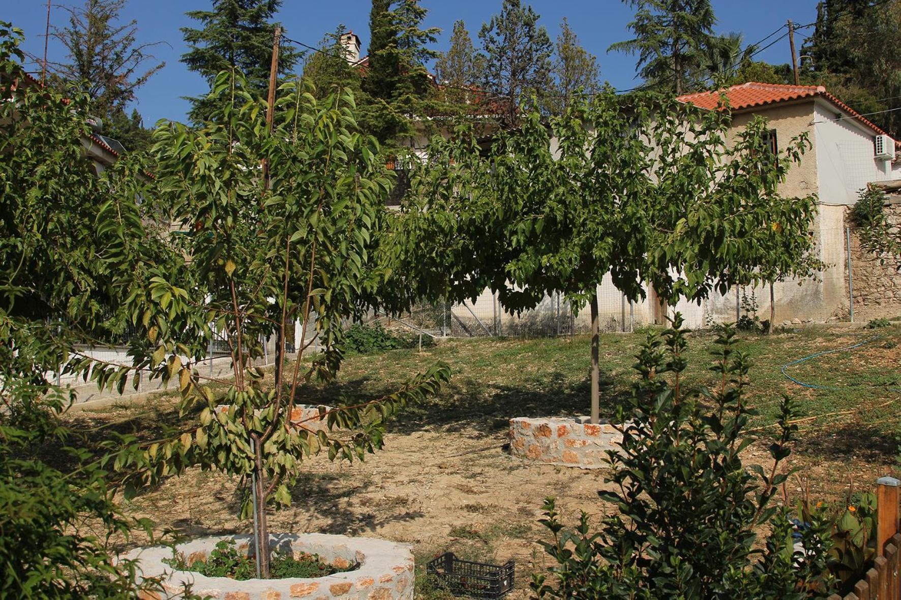 Vagelis *
